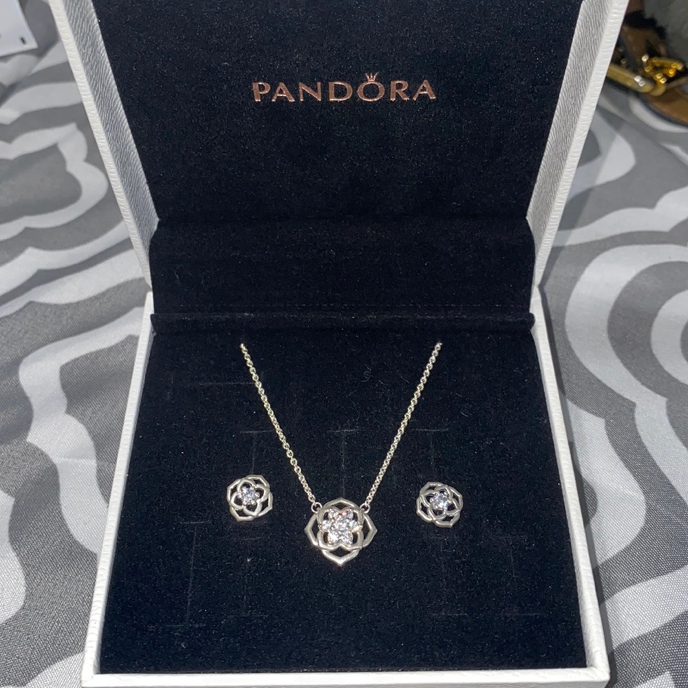 Never worn Pandora necklace & earring set!